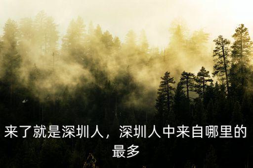 孟飛是深圳哪里人,深圳人都去哪里了