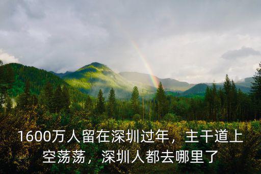 1600萬人留在深圳過年，主干道上空蕩蕩，深圳人都去哪里了
