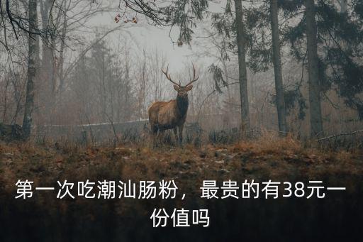 第一次吃潮汕腸粉，最貴的有38元一份值嗎