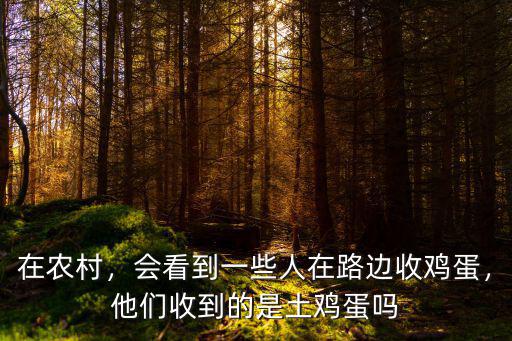 深圳哪里收土雞蛋,哪里需求量大