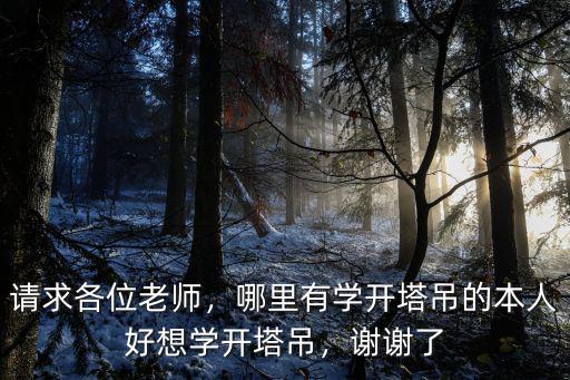 深圳福永哪里有學(xué)塔吊的,想學(xué)開塔吊應(yīng)該去哪里學(xué)