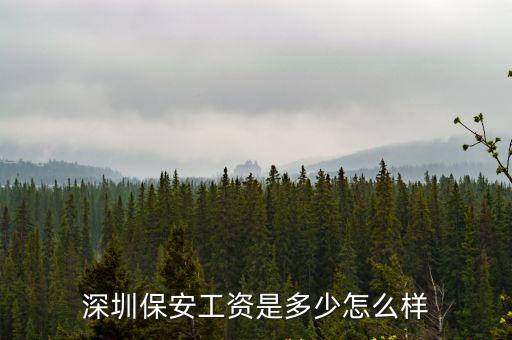 深圳保安工資是多少怎么樣