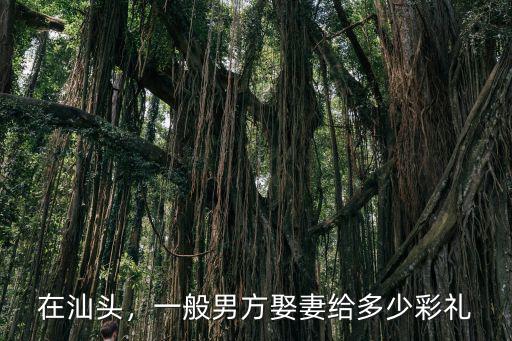 在汕頭，一般男方娶妻給多少彩禮