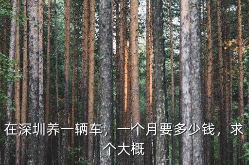 大眾凌渡萬州到深圳要多少油錢,最低配大眾凌渡落地多少錢