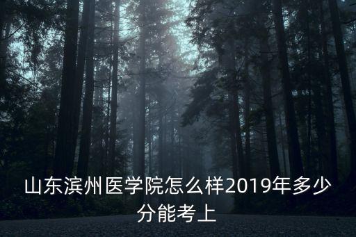 醫學院濱州多少分,2019年多少分能考上