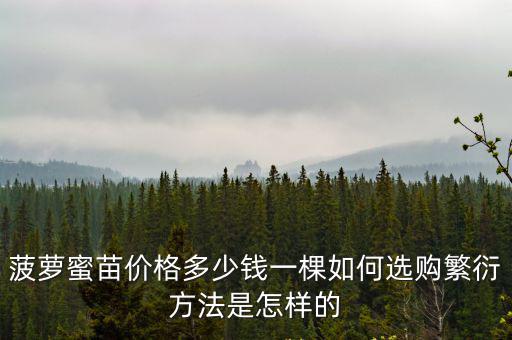 菠蘿蜜苗價格多少錢一棵如何選購繁衍方法是怎樣的