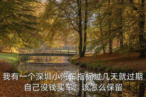 我有一個深圳小汽車指標過幾天就過期自己沒錢買車，該怎么保留