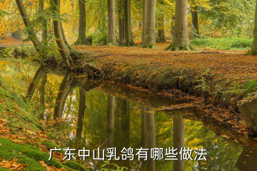 廣東中山乳鴿有哪些做法