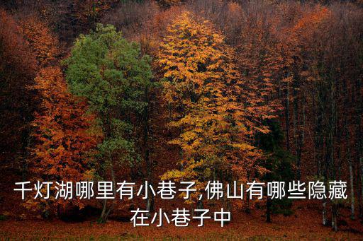 佛山千燈湖哪里有小巷子,佛山有哪些隱藏在小巷子中