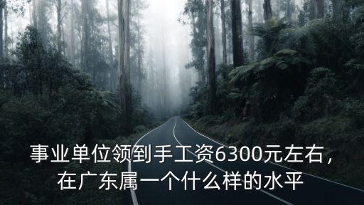 事業單位領到手工資6300元左右，在廣東屬一個什么樣的水平