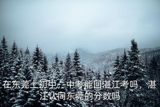 東莞鳳崗怎么回湛江,如何轉回湛江