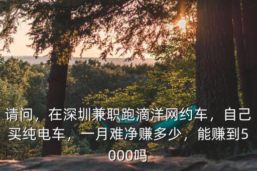 請問，在深圳兼職跑滴洋網約車，自己買純電車，一月難凈賺多少，能賺到5000嗎