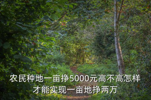 山東一畝地一年能賺多少,怎樣才能實現一畝地掙兩萬