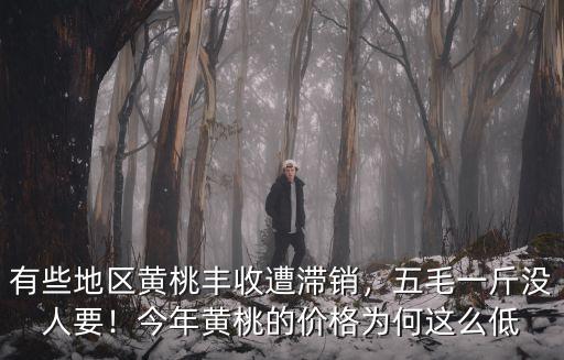 威海黃桃批發(fā)多少錢一斤,五毛一斤沒人要