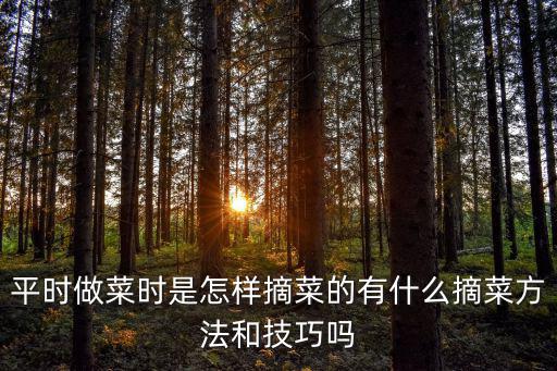 廣東菜心怎么摘菜,平時做菜時是怎樣摘菜的