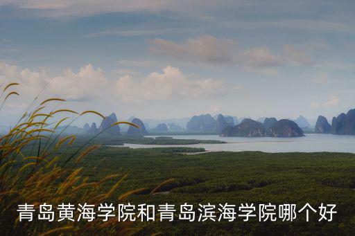 青島黃海學院和青島濱海學院哪個好