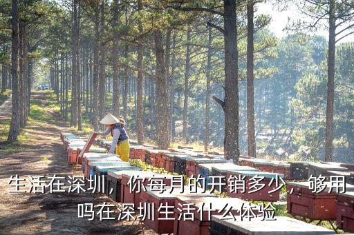 深圳的樓梯房一個(gè)月多少錢,你每月的開銷多少