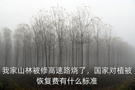 我家山林被修高速路燒了，國(guó)家對(duì)植被恢復(fù)費(fèi)有什么標(biāo)準(zhǔn)