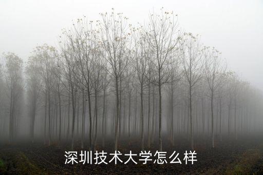 深圳技術大學怎么樣
