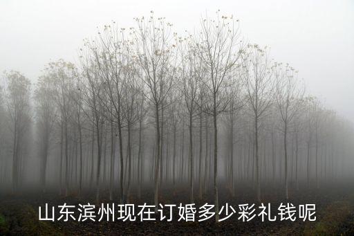 山東濱州現在訂婚多少彩禮錢呢