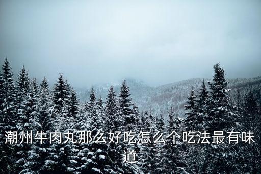潮州牛肉怎么做,正宗潮州牛肉丸的做法難學嗎