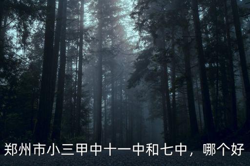 鄭州市小三甲中十一中和七中，哪個好