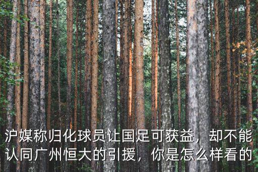 廣州恒大歸化球員的能力怎么樣,卻不能認同廣州恒大的引援