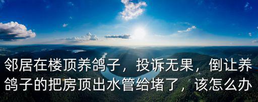 廣州小區樓頂養鴿子怎么投訴,小區到底能不能養鴿