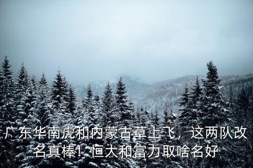 廣東華南虎和內蒙古草上飛，這兩隊改名真棒！恒大和富力取啥名好