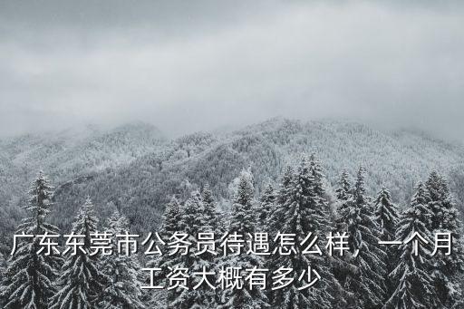 廣東法警一個月工資多少,廣東東莞市公務員待遇怎么樣