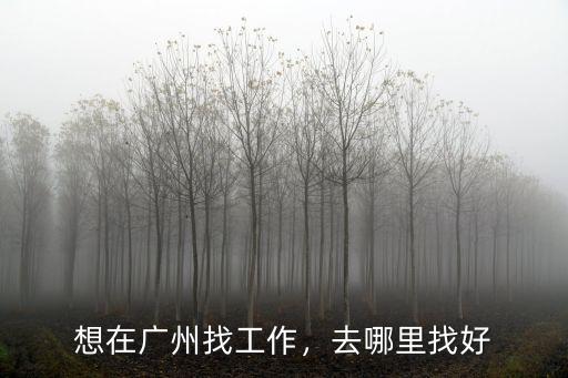 想在廣州找工作，去哪里找好