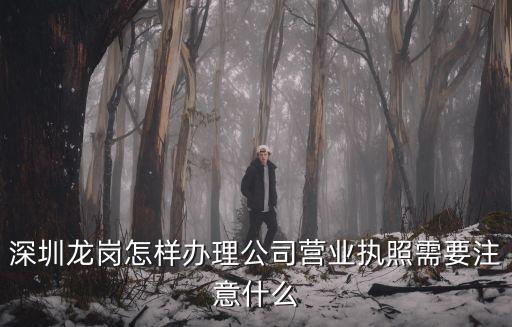 深圳龍崗怎樣辦理公司營業執照需要注意什么