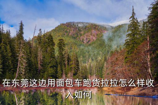 現(xiàn)在在東莞加貨拉拉怎么樣,現(xiàn)在買輛車做貨拉拉
