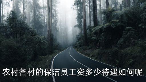 農村各村的保潔員工資多少待遇如何呢