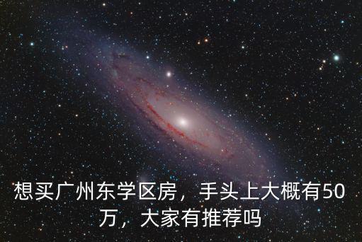 想買廣州東學區房，手頭上大概有50萬，大家有推薦嗎