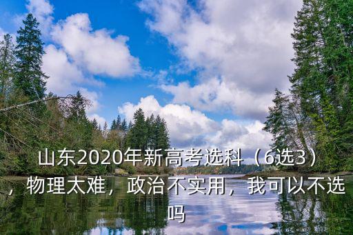 2020年煙臺高考選科政治有多少人,山東2020年新高考選科
