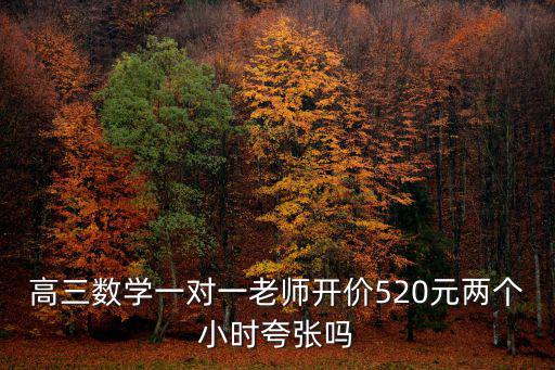 高三數(shù)學(xué)一對一老師開價(jià)520元兩個(gè)小時(shí)夸張嗎