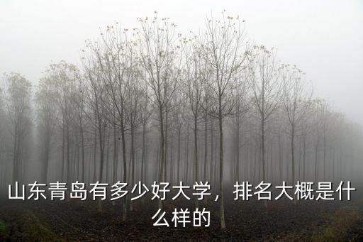 山東青島有多少好大學，排名大概是什么樣的