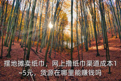廣州紙巾去哪里進(jìn)貨便宜,該去哪里進(jìn)貨便宜呢