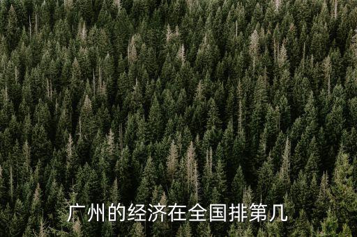 廣州的經濟在全國排第幾