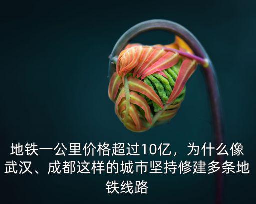 地鐵一公里價格超過10億，為什么像武漢、成都這樣的城市堅持修建多條地鐵線路