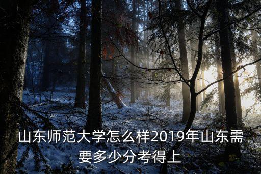 今年山東師范大學(xué)有多少學(xué)生,如何評價山東師范大學(xué)