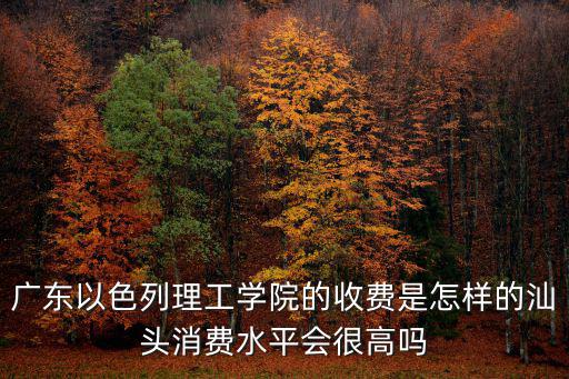 汕頭以色列理工學院在哪里,廣東以色列理工學院怎么樣