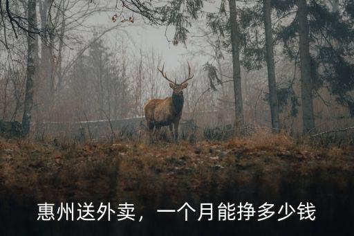 惠州送外賣，一個月能掙多少錢