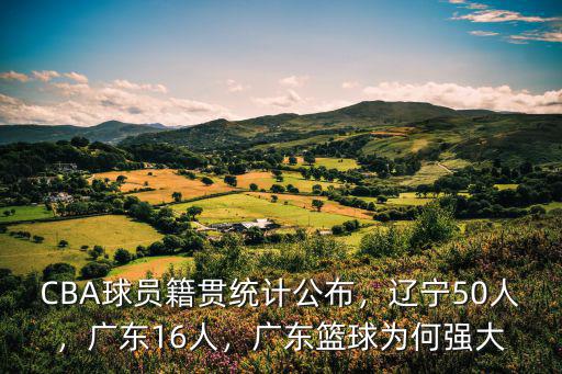 CBA球員籍貫統計公布，遼寧50人，廣東16人，廣東籃球為何強大