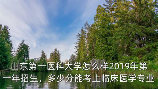 山東報(bào)臨床醫(yī)學(xué)專業(yè)需要多少分,臨床需要多少分
