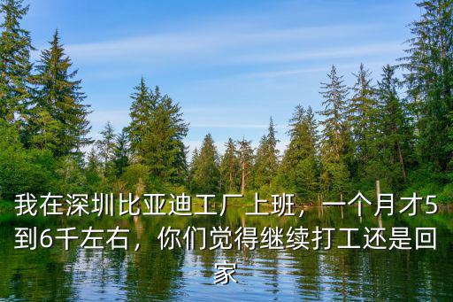 我在深圳比亞迪工廠上班，一個月才5到6千左右，你們覺得繼續打工還是回家