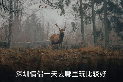 深圳哪里能俯瞰夜景,深圳情侶一天去哪里玩比較好