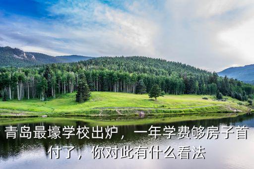 青島東湖學院一年學費多少,青島最壕學校出爐