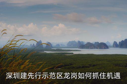 深圳建先行示范區龍崗如何抓住機遇